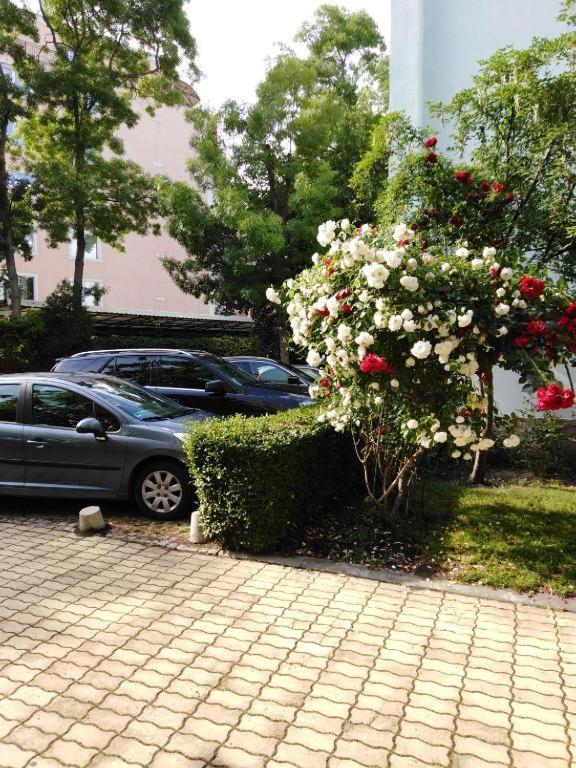 Guest Apartment Dental Space Σάνι Μπιτς Εξωτερικό φωτογραφία